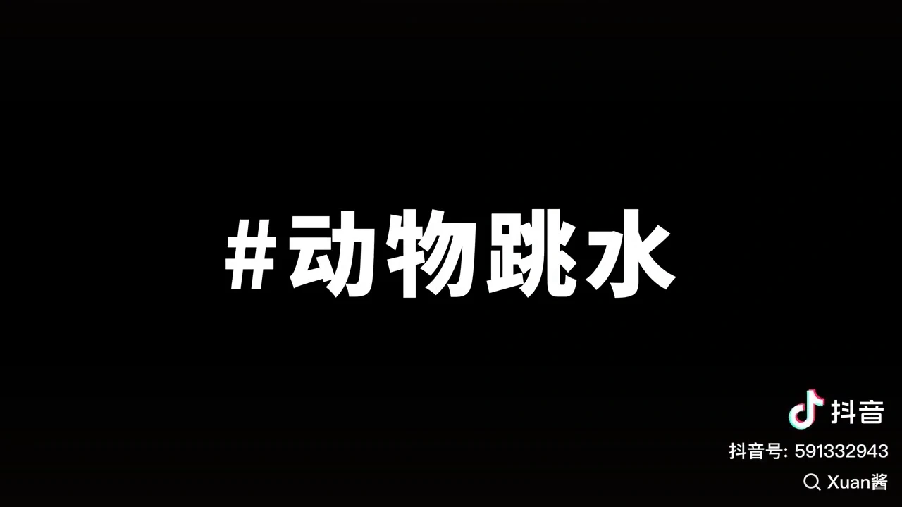 52d2ede8-5cc0-410a-988d-883b27f7b1be 52d2ede8-5cc0-410a-988d-883b27f7b1be