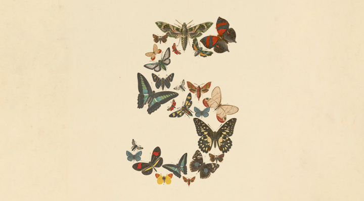 78b4b585bc246d8e40509328bd54b11e
